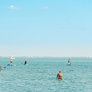 Krisztian Tefner/Shutterstock
