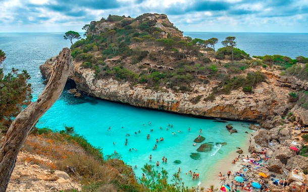 Al Carrera/Shutterstock