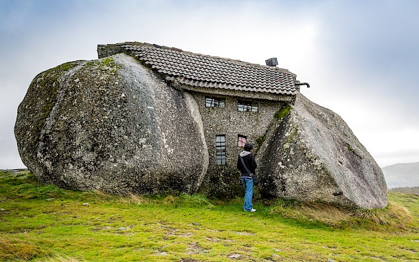 Uwe Aranas/Shutterstock