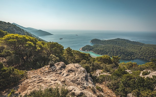 AmauryMphotos/Shutterstock