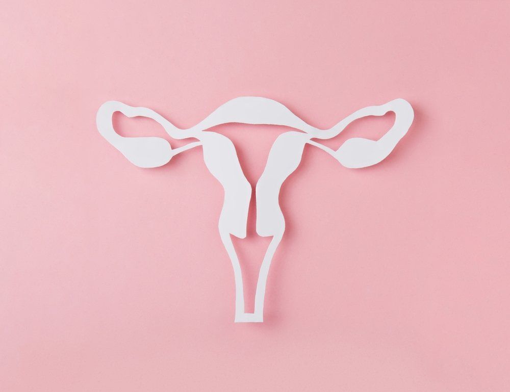 Valószínűleg te sem tudod, hogyan néz ki valójában a méhed