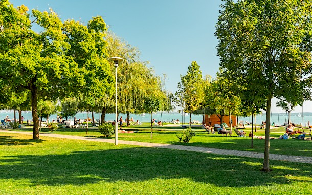 Krisztian Tefner/Shutterstock