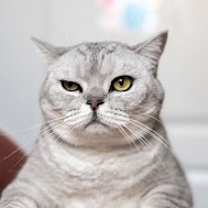 svetograph/Shutterstock