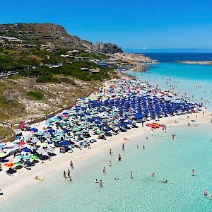 Alexandre.ROSA/Shutterstock