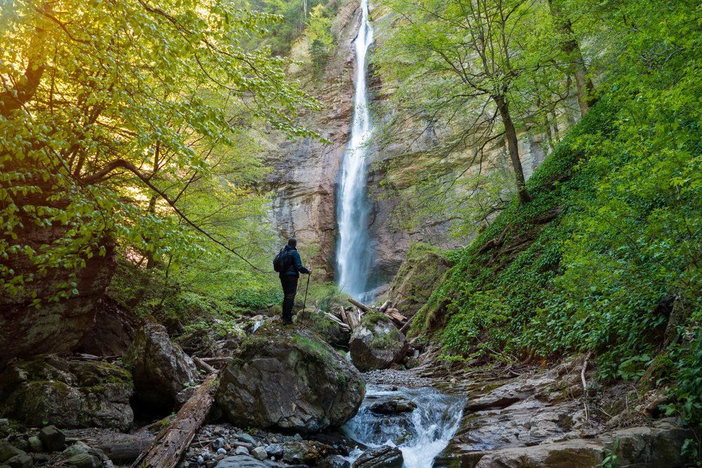 Ez a kis esőerdő itt van a szomszédunkban, mégis alig ismerjük
