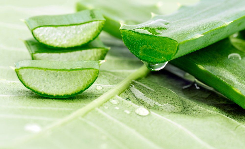 DIY Aloe Vera hajmaszk az egészséges hajért és fejbőrért