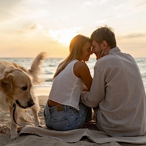 Maria Markevich/Shutterstock