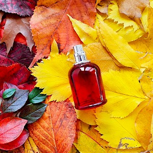 vittoria_vittoria/Shutterstock