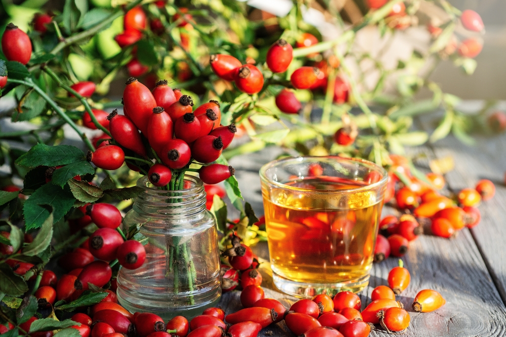 Magyarországon ingyen terem, és nagyobb C-vitamin-bomba, mint a narancs