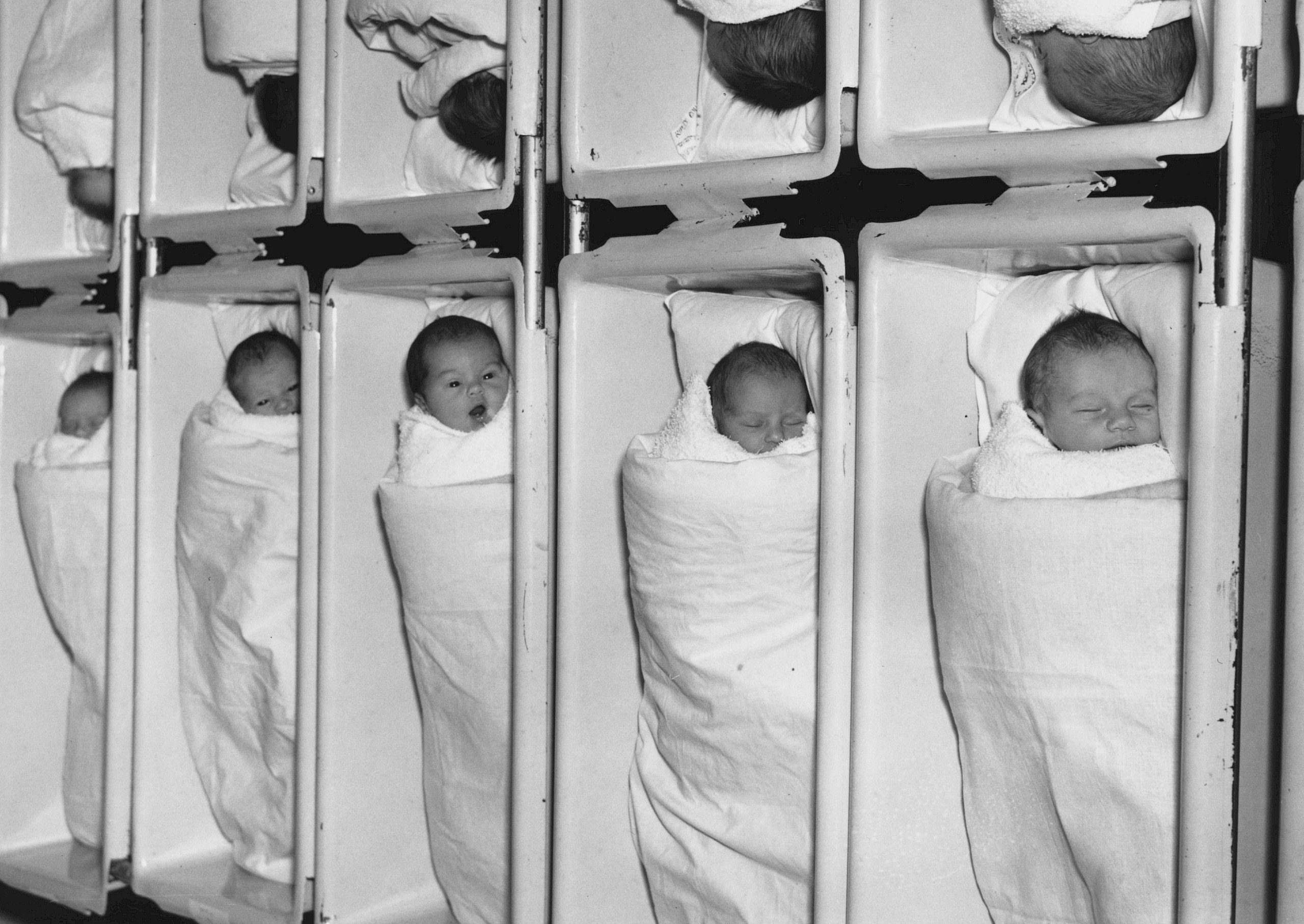 Ezek a babák alig kaptak cukrot – évtizedekkel később döbbenetes különbséget találtak