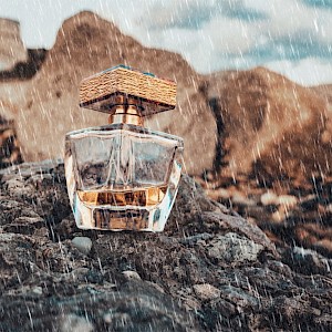 STEKLO/Shutterstock