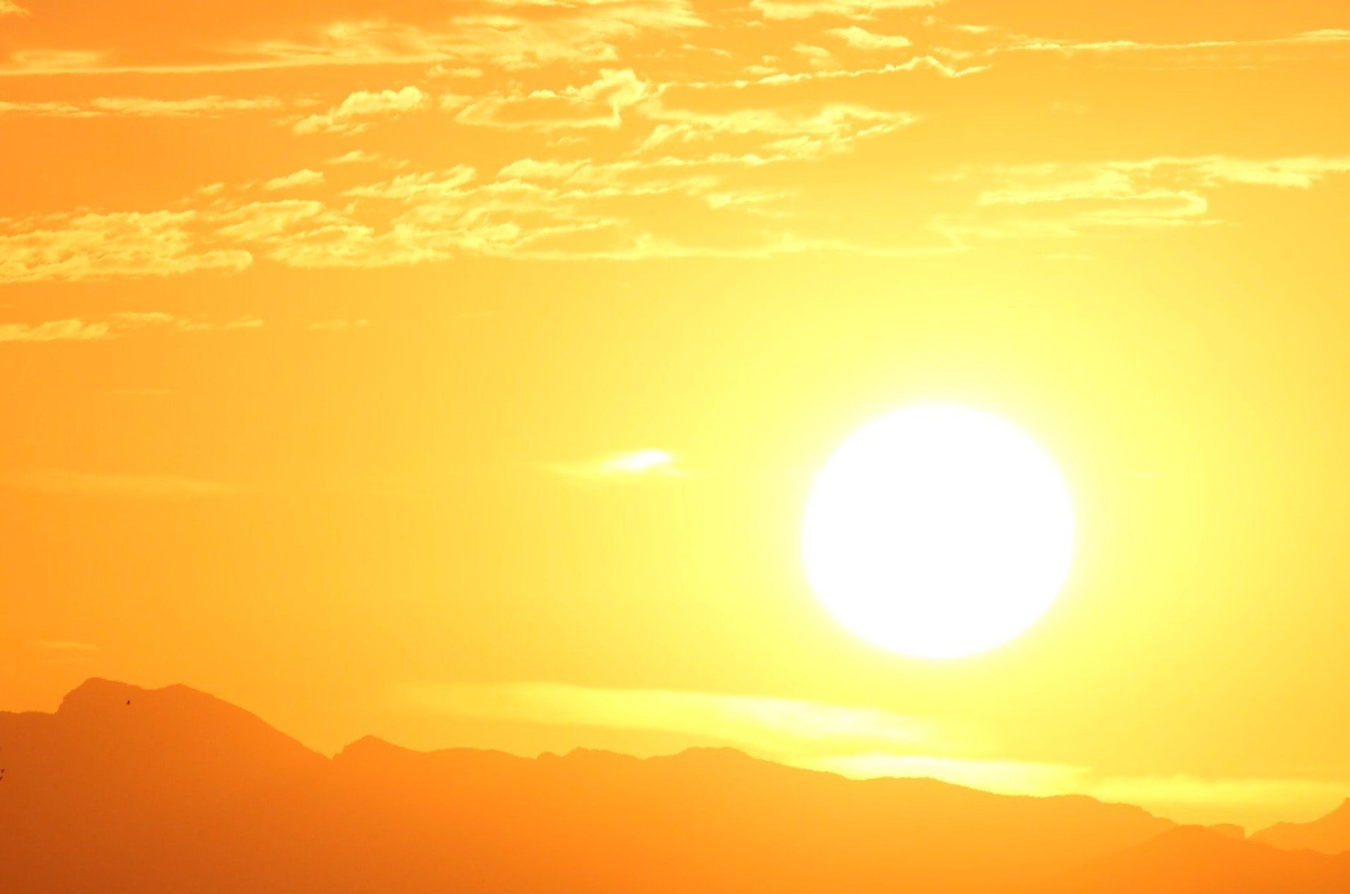 Perzselő hőmérsékletet hoz az európai hőhullám